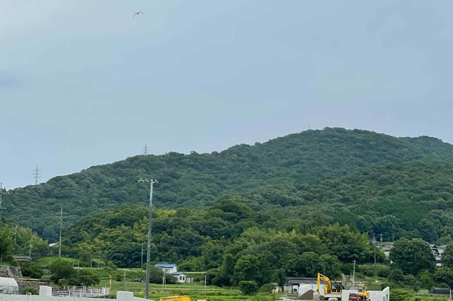 熊野瀬戸線道路改良工事（R5-1工区）の画像11
