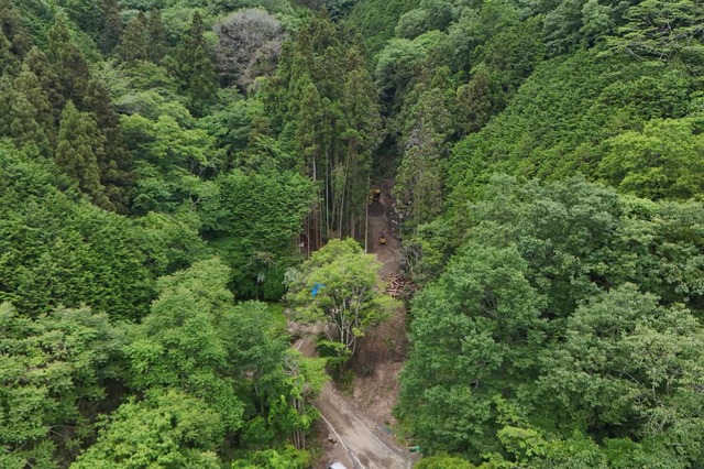 林地荒廃防止事業渓間工事No5の画像01